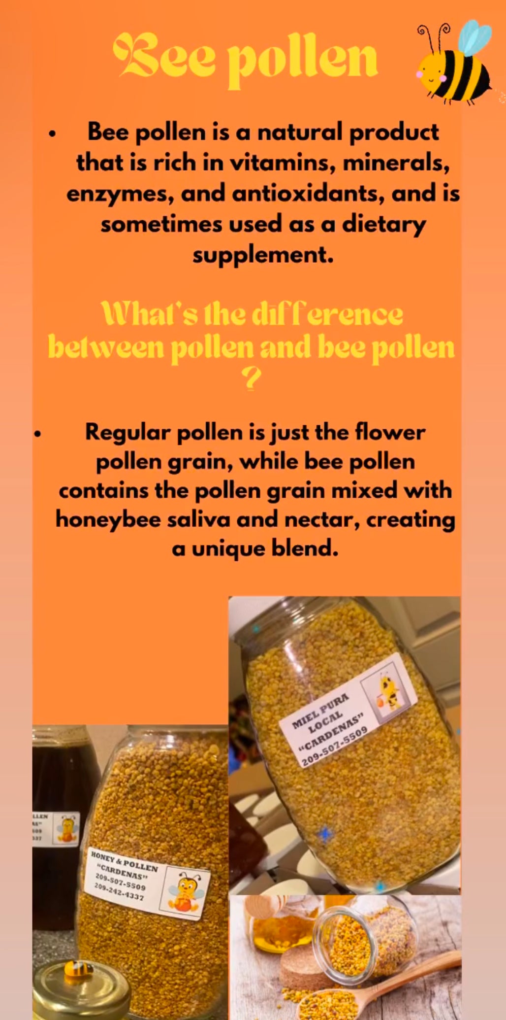 Bee pollen / Polen de abeja